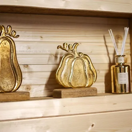 Archontiko Theofanous 1915 Villa Tríkala