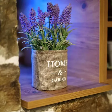 Вилла Archontiko Theofanous 1915 Трикала