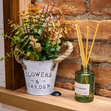 Archontiko Theofanous 1915 Вилла Трикала